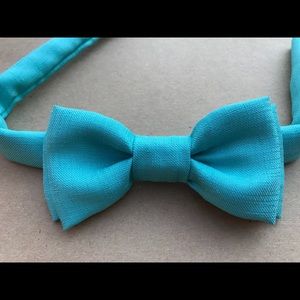 Mint bow tie